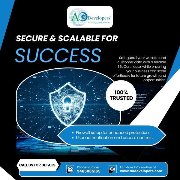 Premium Web Experience Package - Image 2